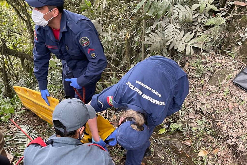 Corpos De Duas Mulheres São Encontrados Em Matagal Em Rio Do Sul Jornal De Pomerode 0574